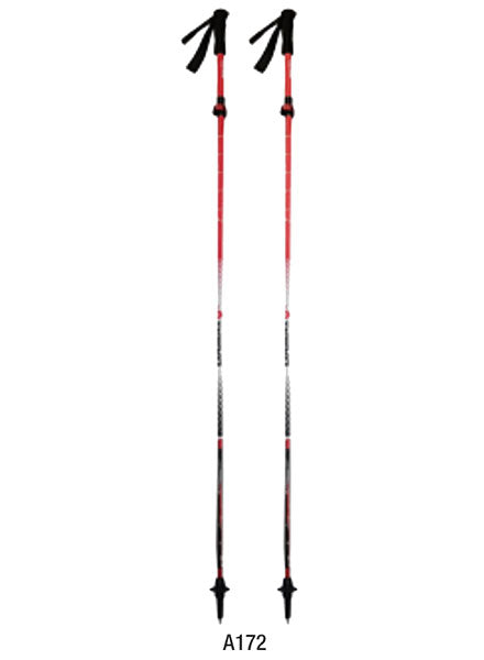 ALU Z FLY POLE