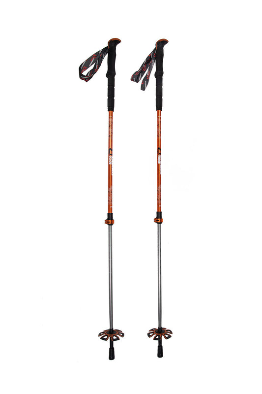 POWDER POLE EVO