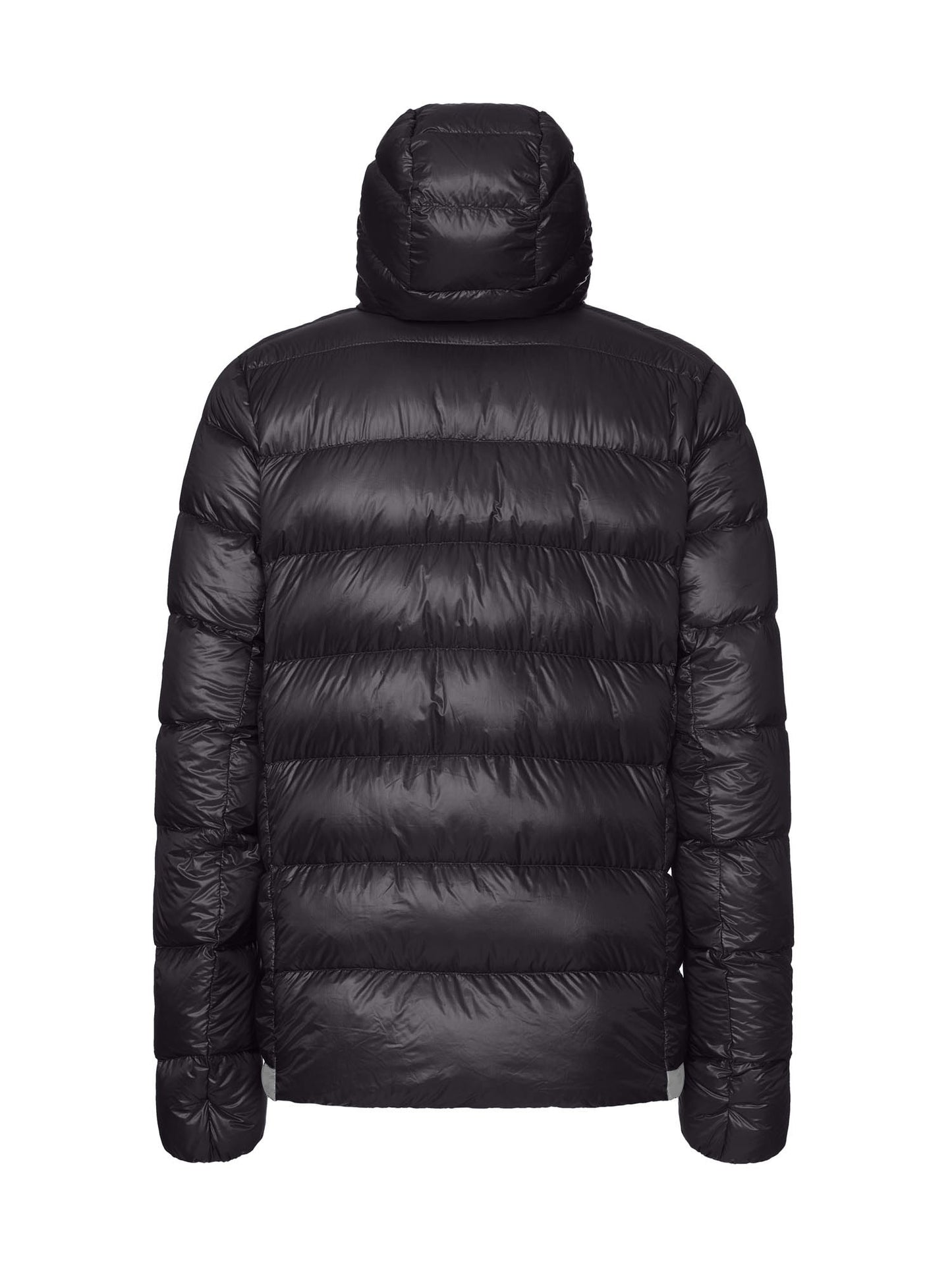 RDS CRACK BABY 2.0 DOWN HOODIE MAN JACKET