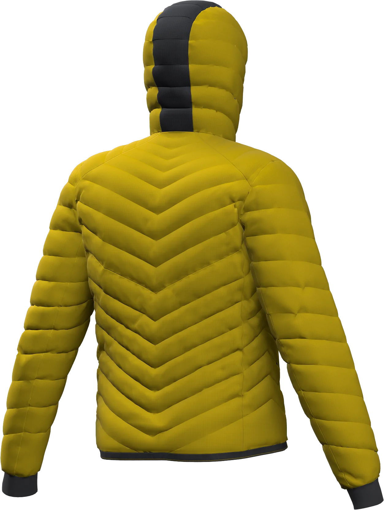 RE.ANAKONDA 2.0 PADDED MAN JACKET