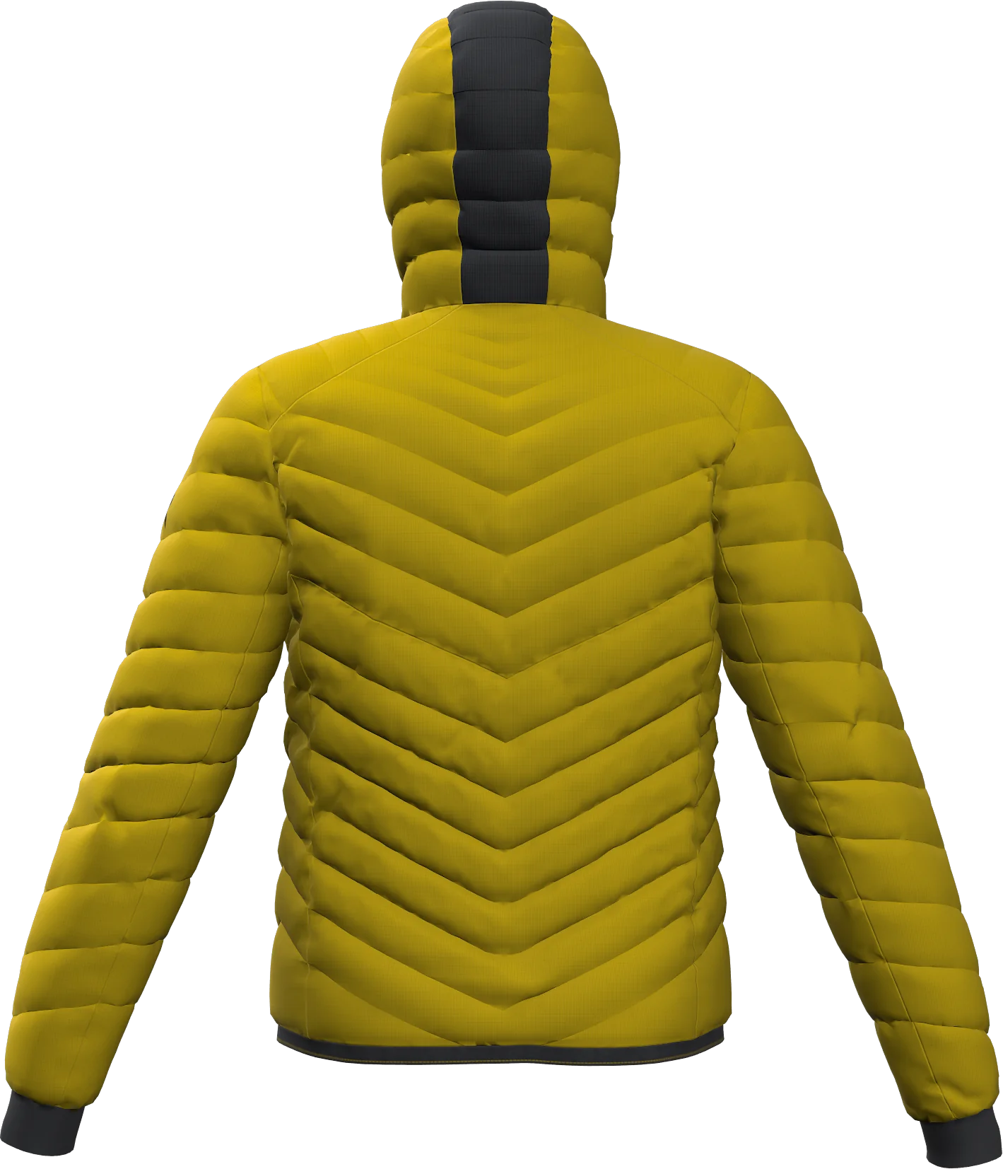 RE.ANAKONDA 2.0 PADDED MAN JACKET