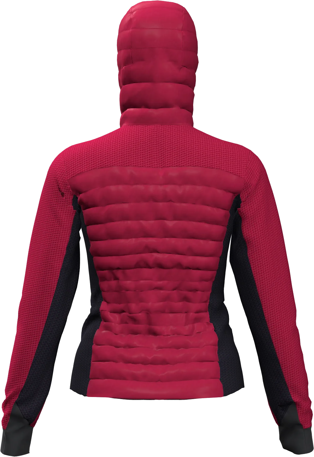 WILD CAT 2.0 HYBRID WOMAN JACKET