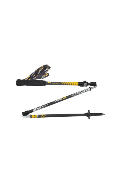 DYNAMIC Z EVO CARBON POLE